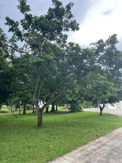 La Finca... Beautiful Countryside Home ! North North Naples 外观 照片